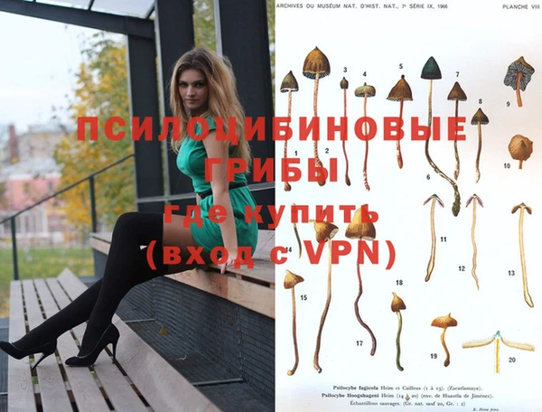 прущий лед Абаза