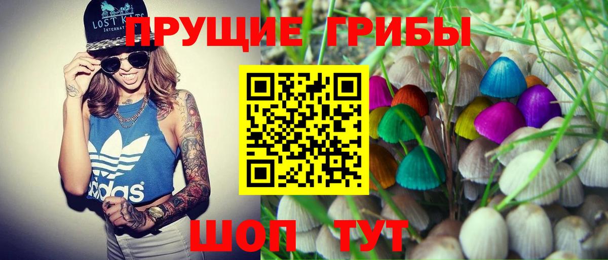 Усть-Кут  Галлюциногенные грибы прущие грибы  Вход с VPN 